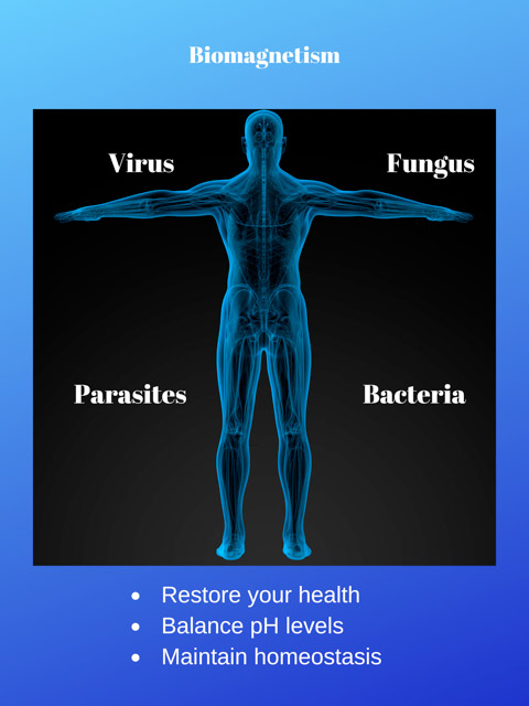 Biomagnetism Therapy - Vita Skin Rejuvenation